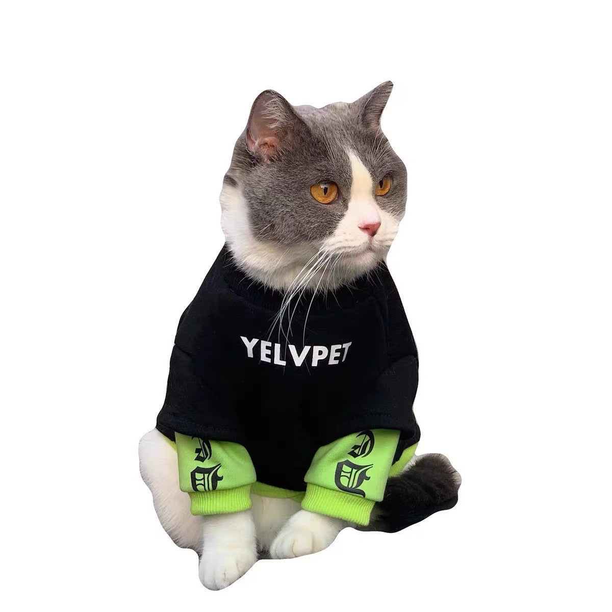 Autumn & Winter Pet Clothes