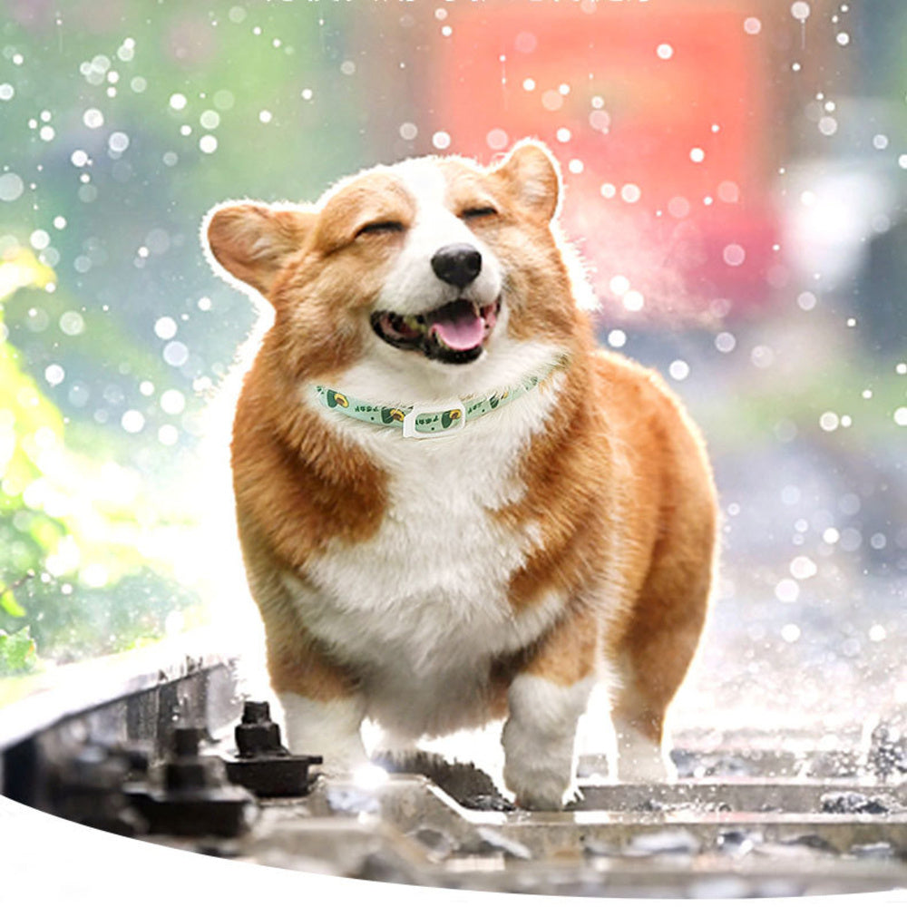 Pet Flea & Tick Collar