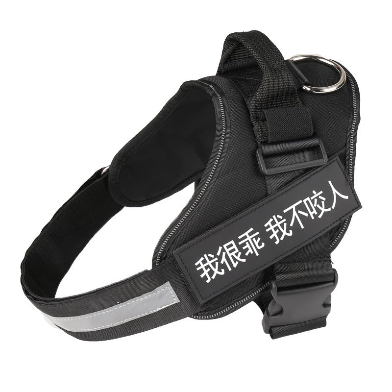 Dog Harness & Leash