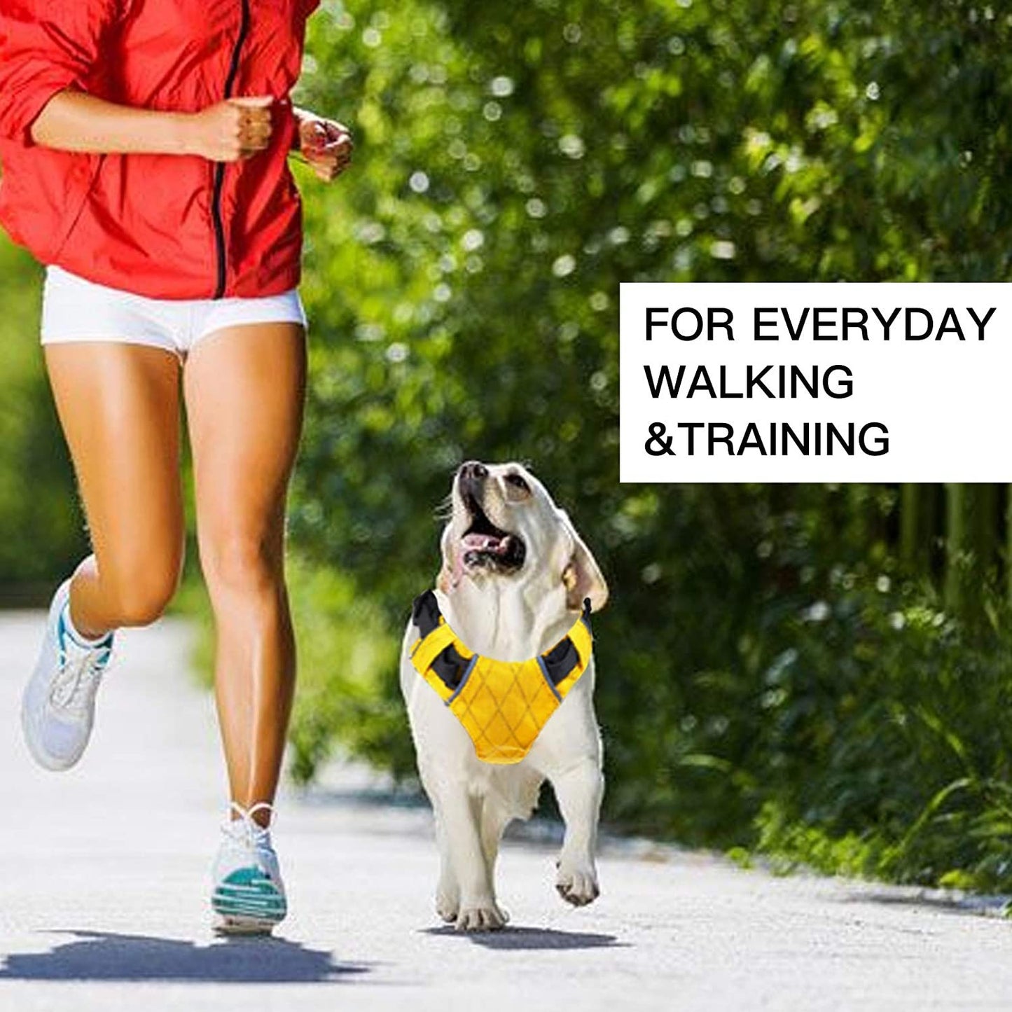 Waterproof No-Pull Dog Harness