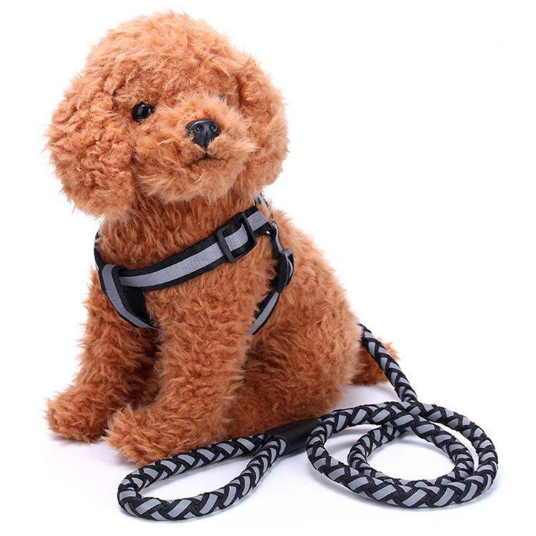 Reflective Pet Leash & Harness Set