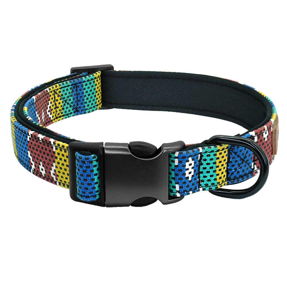 Engraved No-Tag Dog Collar