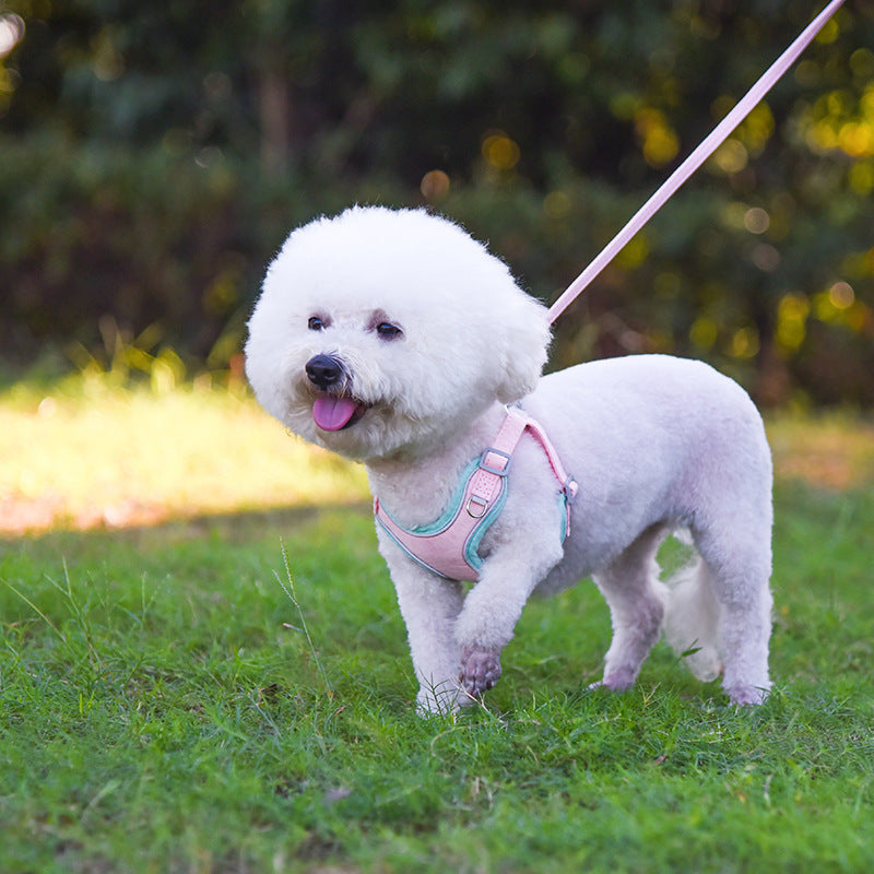 Adjustable Dog Harness & Leash