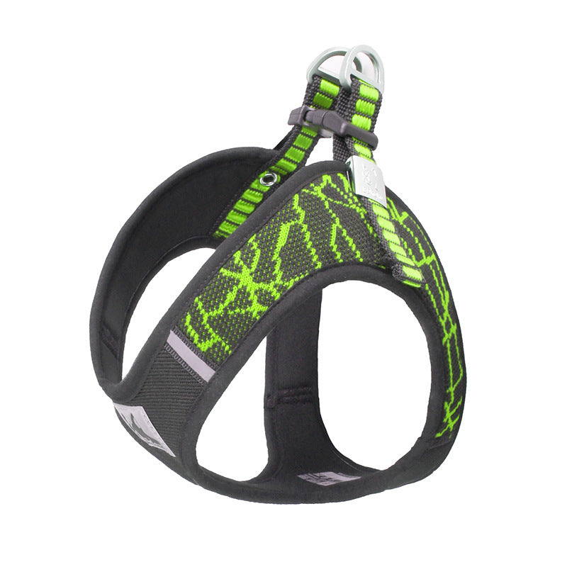 Pet Harness & Leash