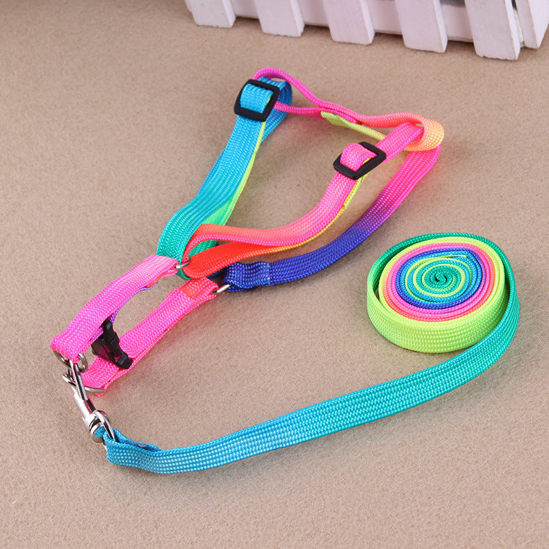 Leashes Colorful Leashes