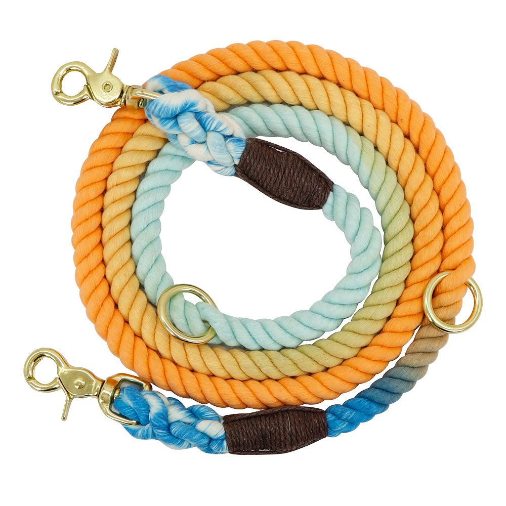 Gradient Dog Collar & Leash