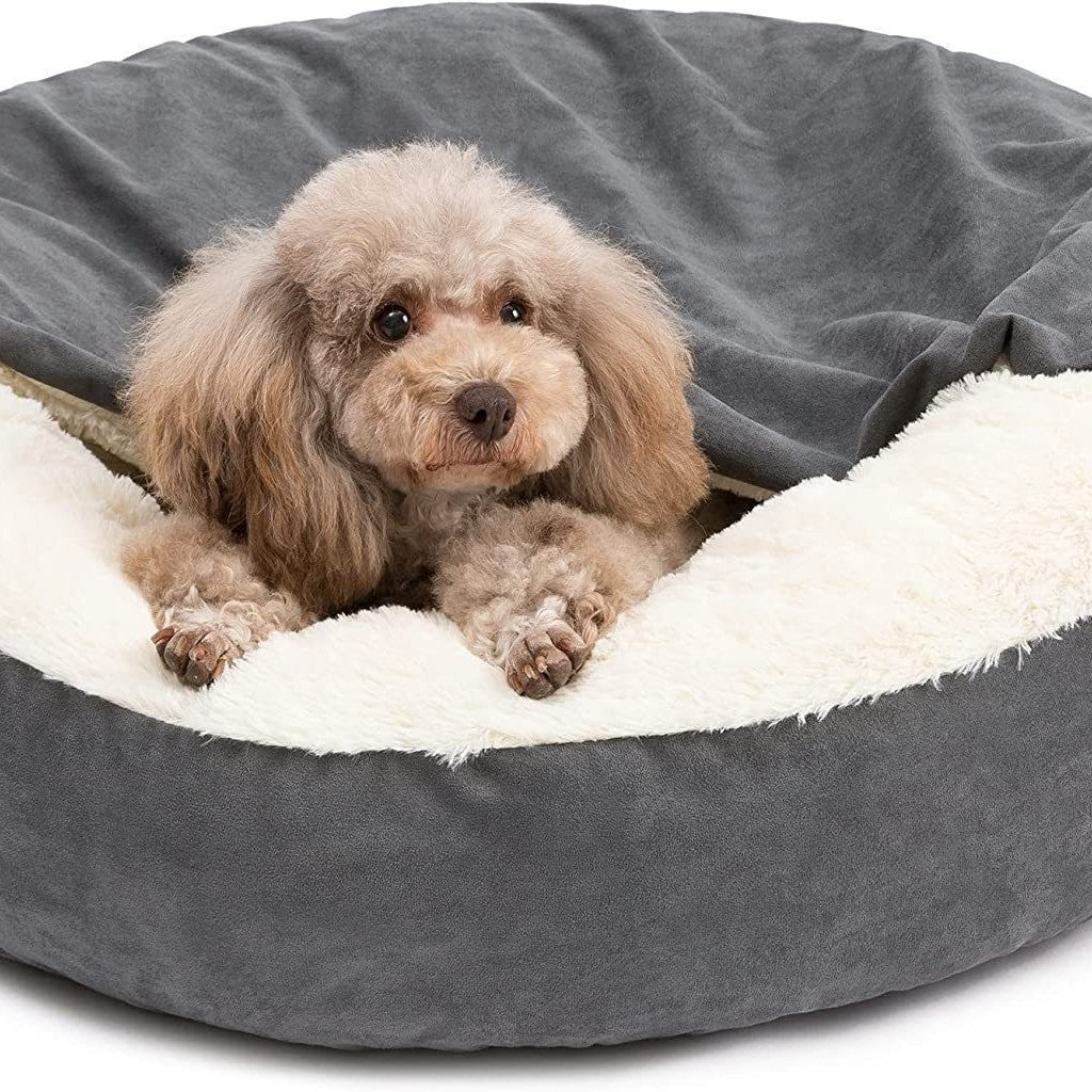 Teddy Pet Bed for Small & Medium Dogs