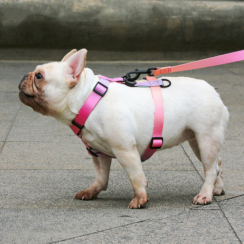 Chest Strap Collar for Pets