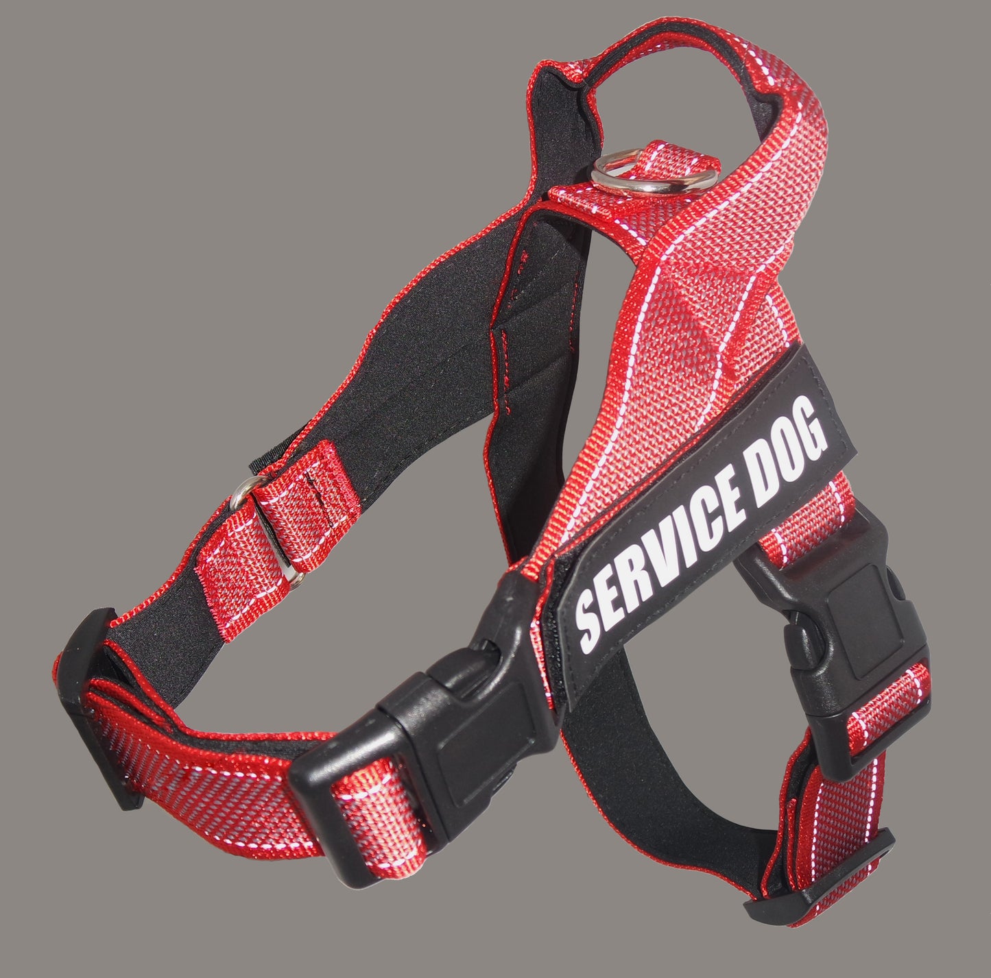 Personalize Pet Harness