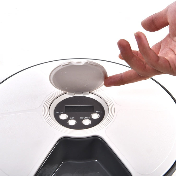 Feeding Machine