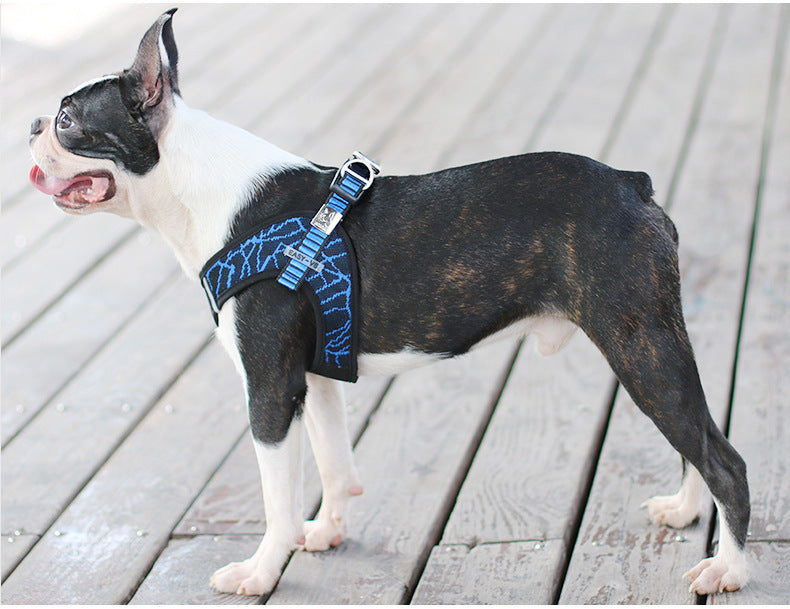 Pet Harness & Leash
