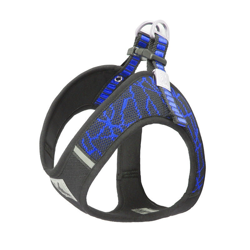 Pet Harness & Leash