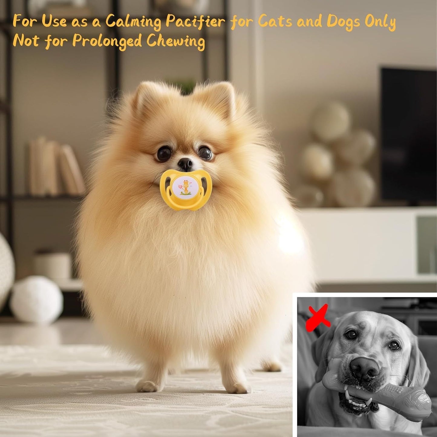 Dog Kitten Pacifiers –Teething Chew Toys