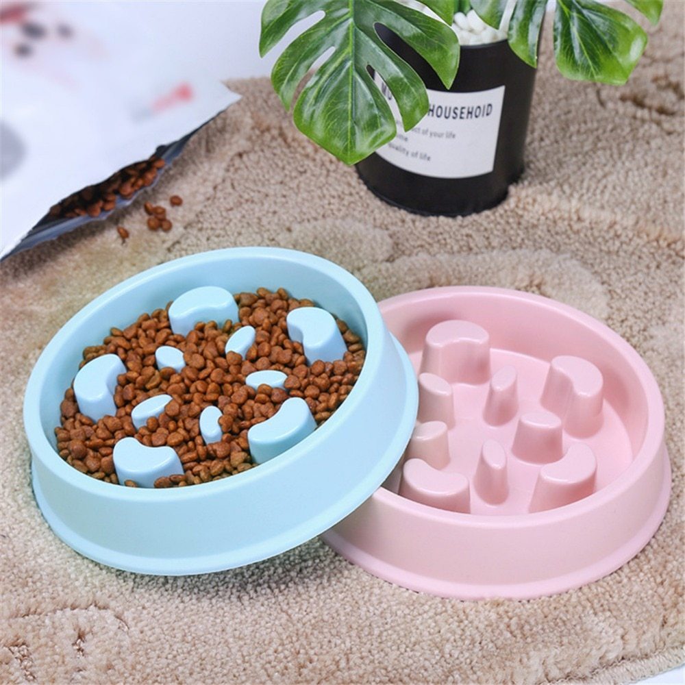 Slow Feeder Puzzle Bowl