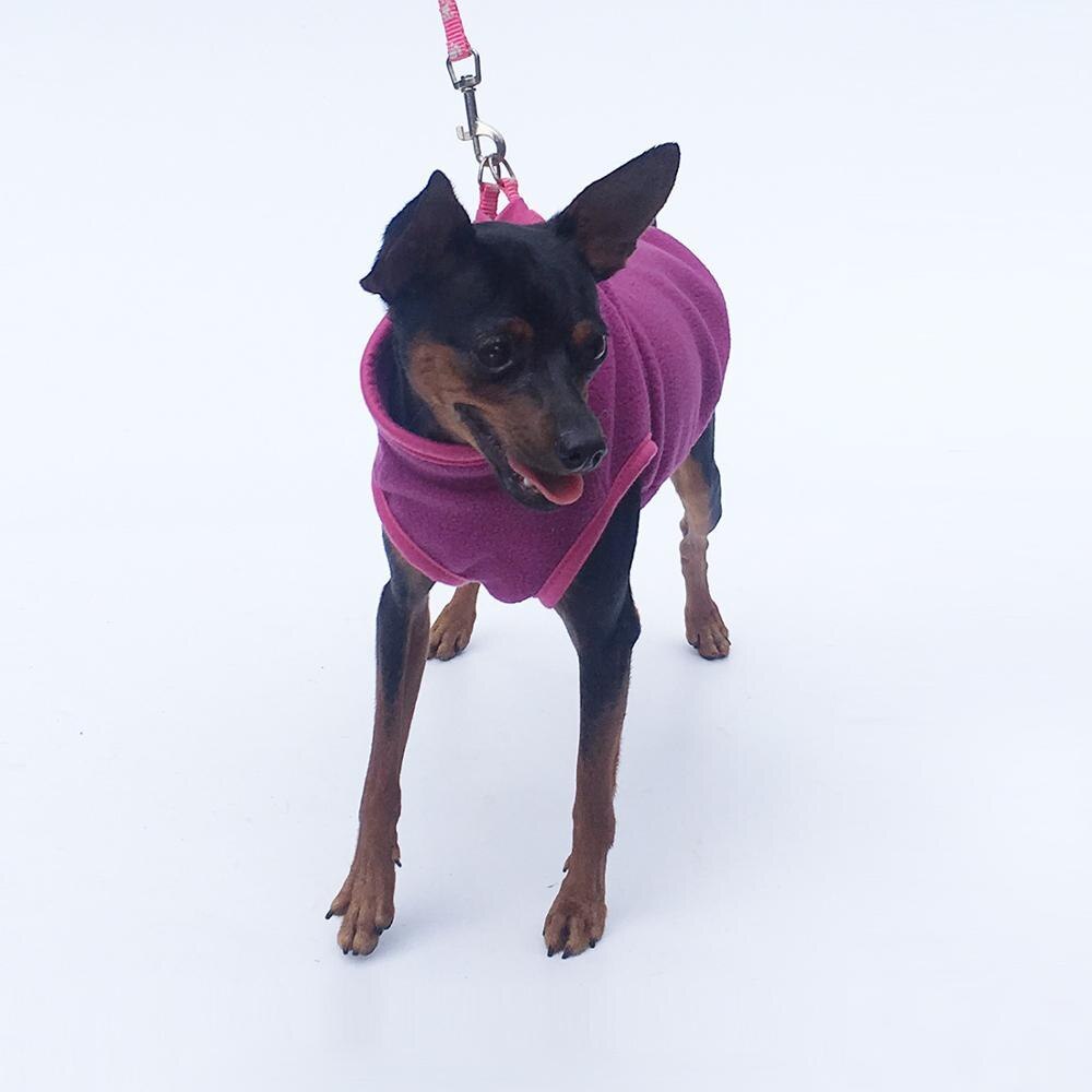 Dog Clothing