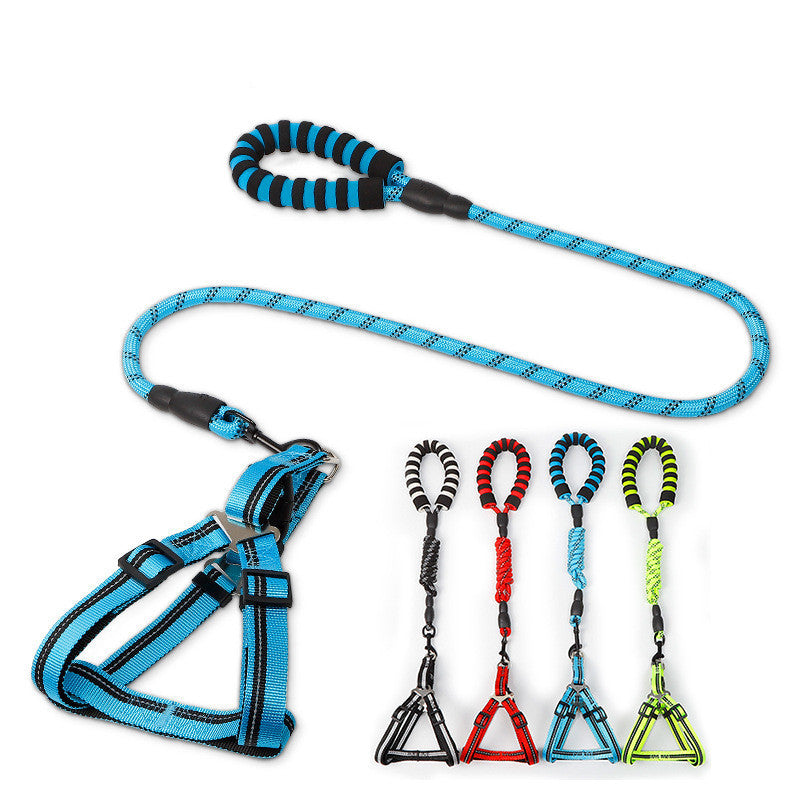 Dog Leash & Harness
