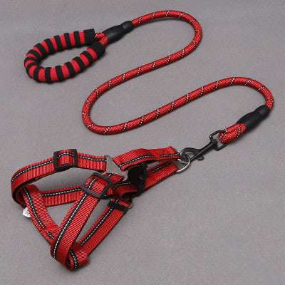 Dog Leash & Harness