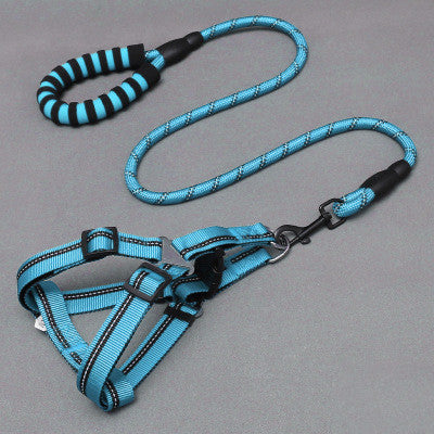 Dog Leash & Harness