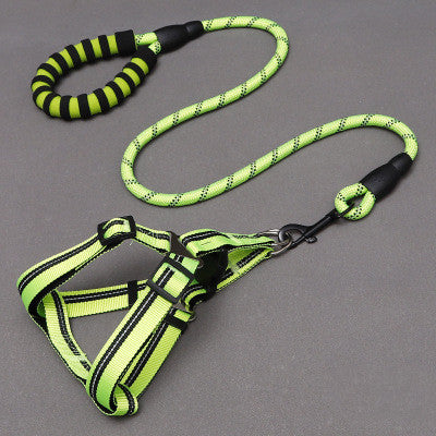 Dog Leash & Harness