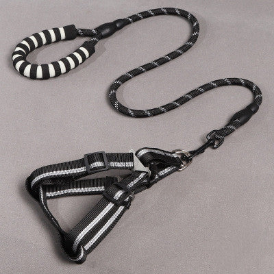 Dog Leash & Harness
