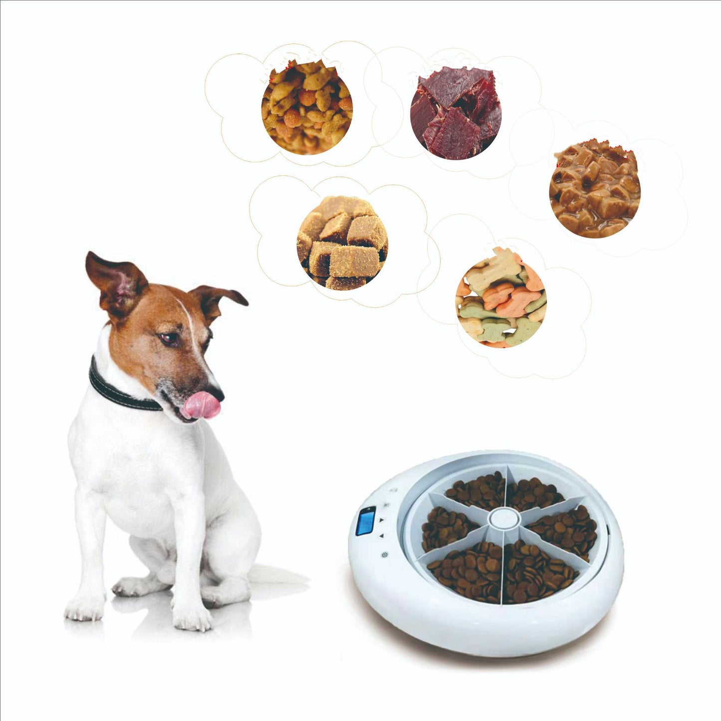 Smart Six-Hole Pet Feeder