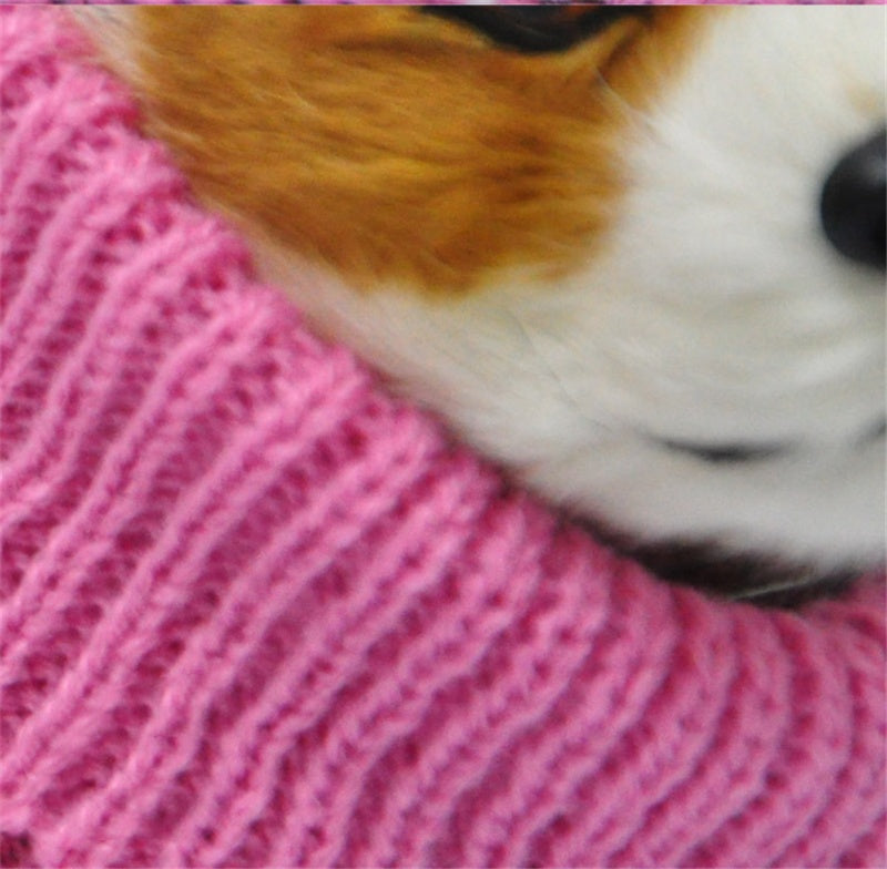 Pet Clothes