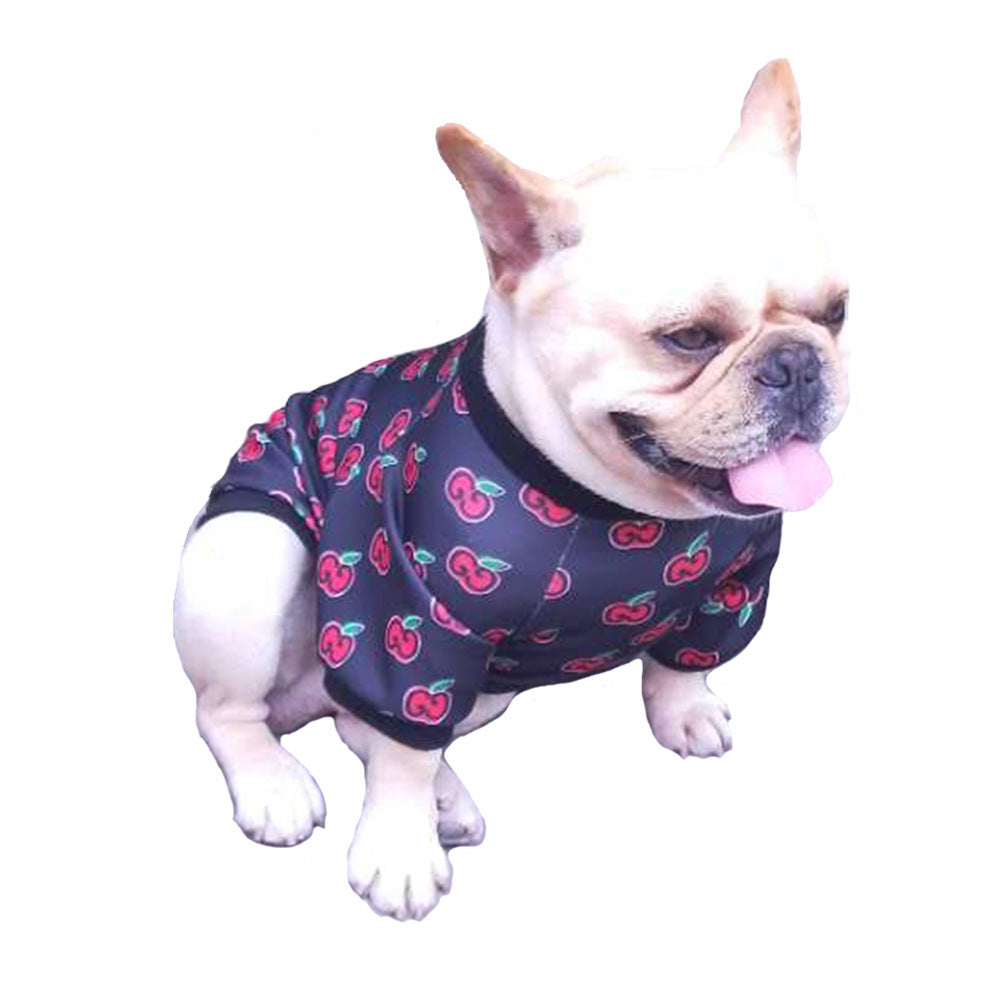 Custom Teddy Dog Clothing