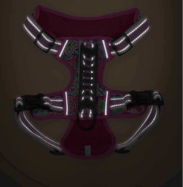 Dog Harness & Leash