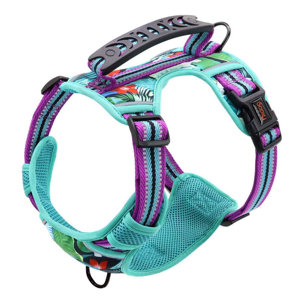 Dog Harness & Leash