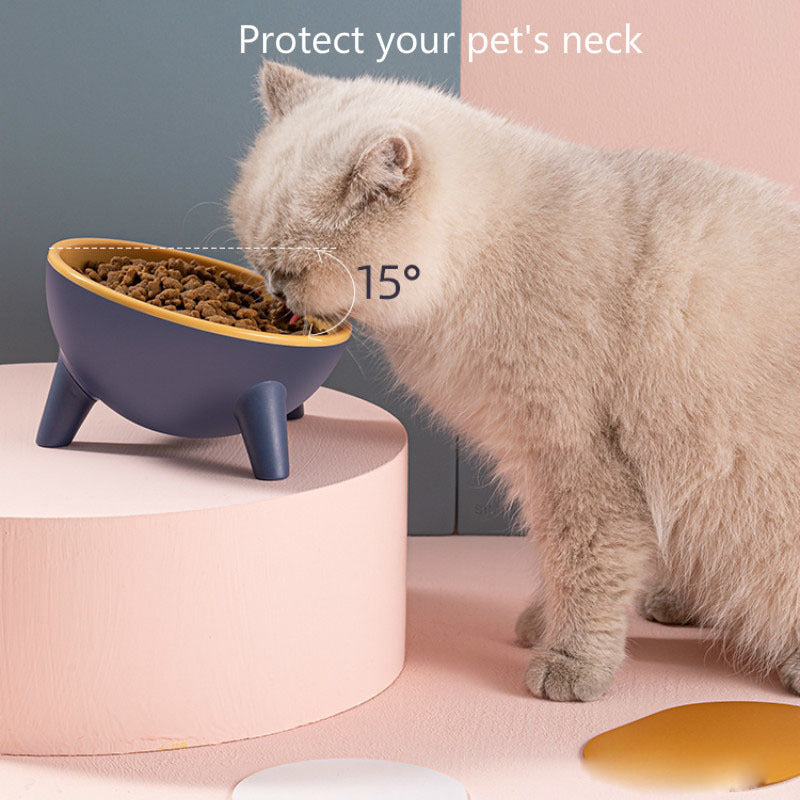 Nordic Pet Bowl with Stand