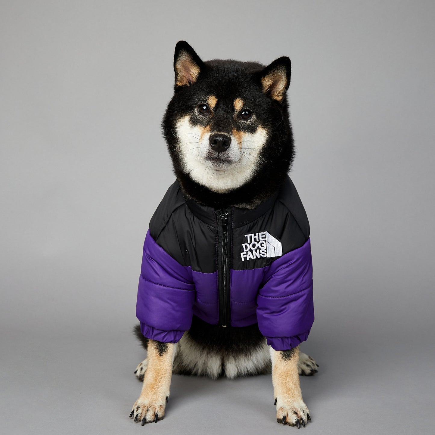 Winter Dog Coat