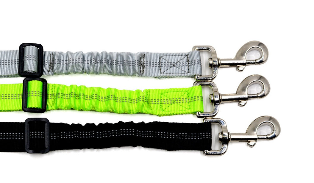 Dog Car Seat Belt
