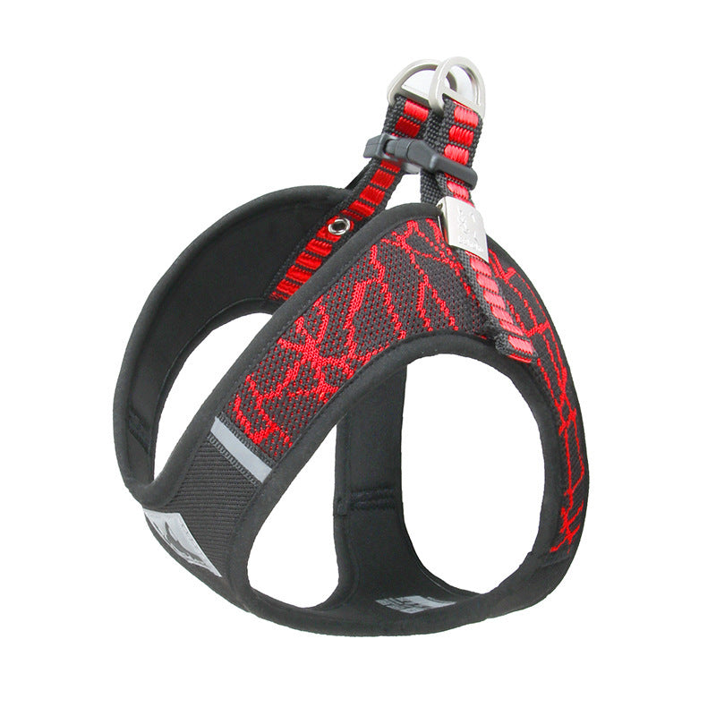 Pet Harness & Leash