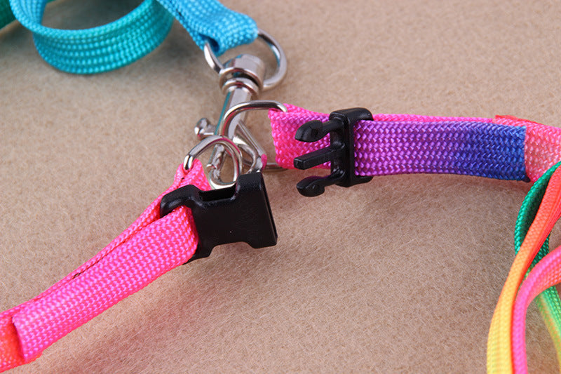 Leashes Colorful Leashes