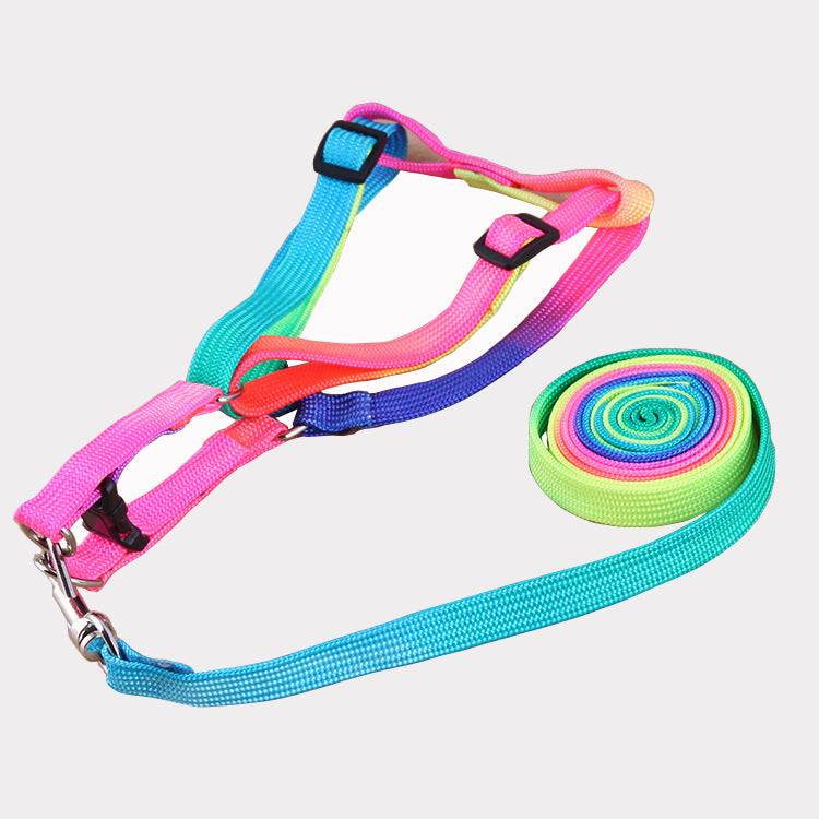 Leashes Colorful Leashes