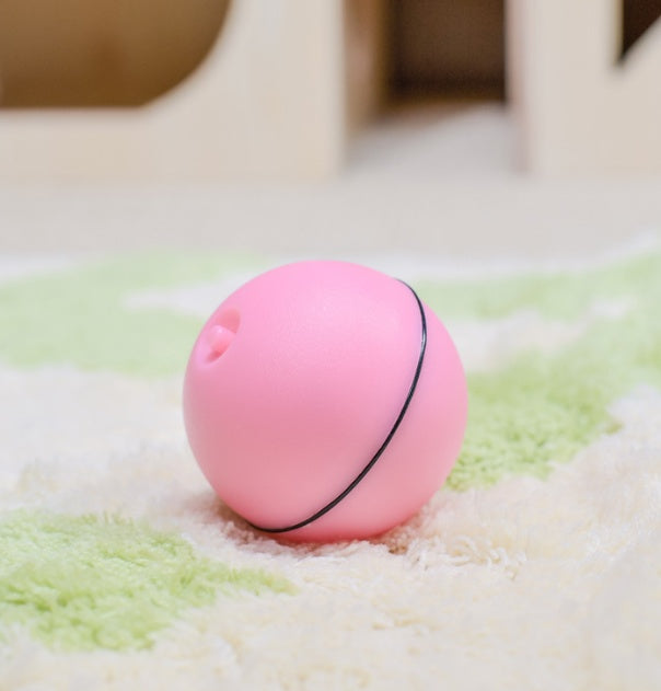 LED Rolling Cat Toy Ball