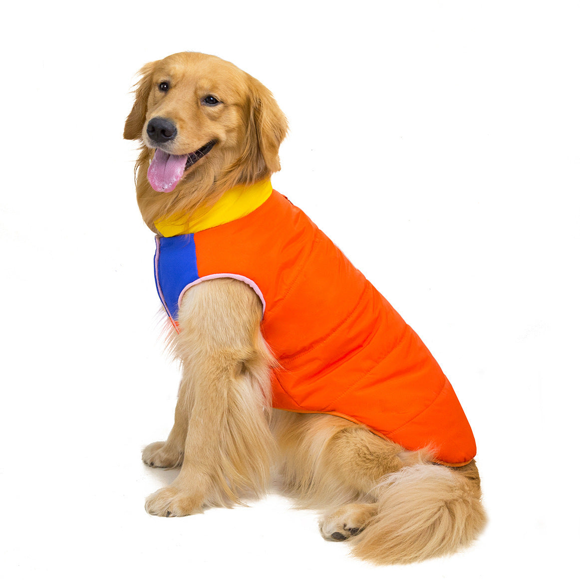 Pet Fall & Winter Clothing
