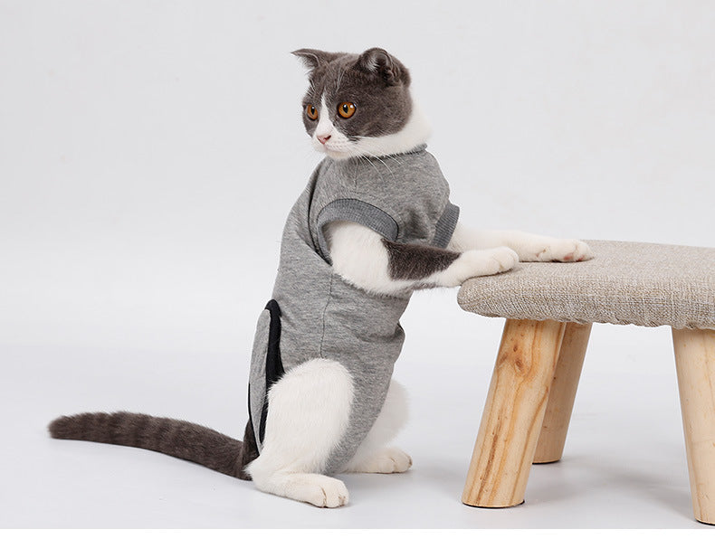 Pet Cat Recovery Suit