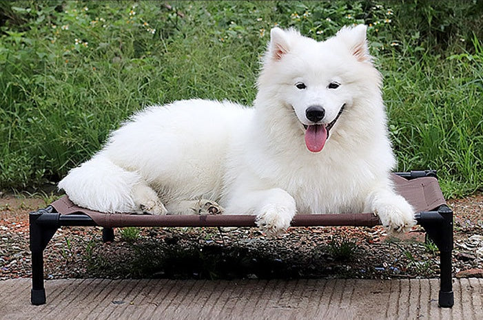Moisture-Proof Removable Dog Bed