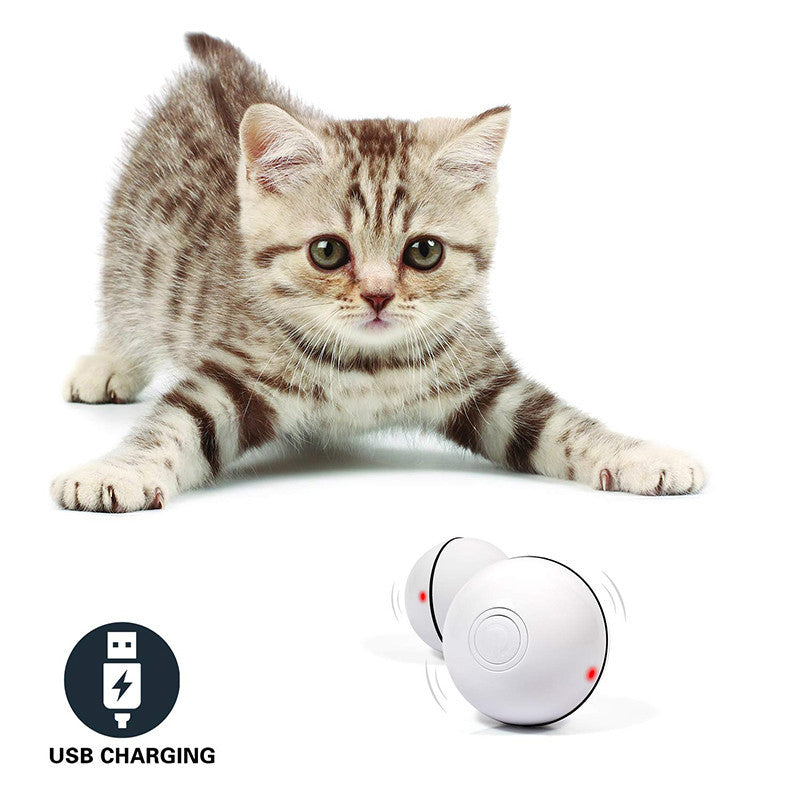 LED Rolling Cat Toy Ball