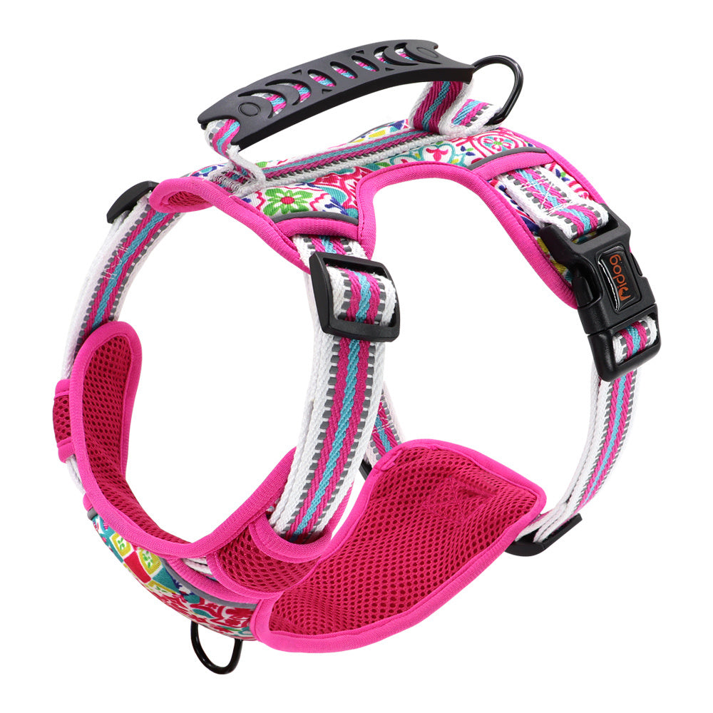 Dog Harness & Leash
