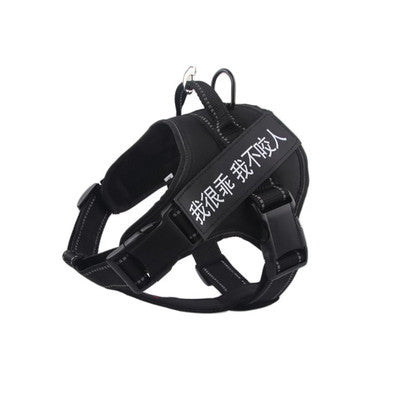 Pet Harness