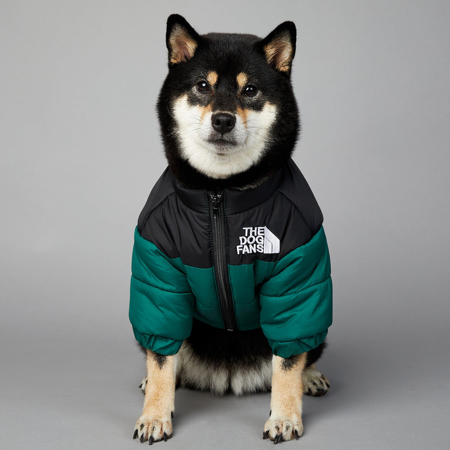 Winter Dog Coat