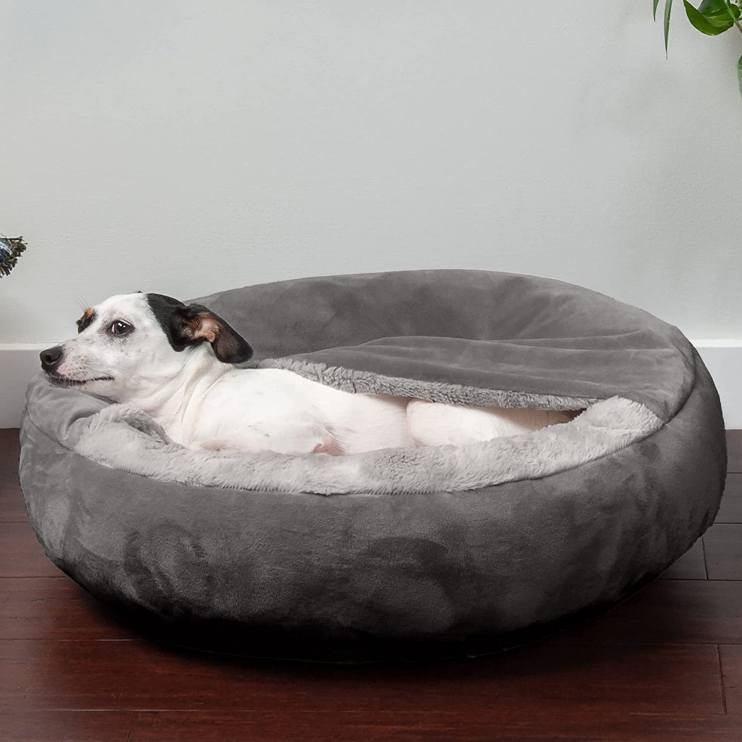 Teddy Pet Bed for Small & Medium Dogs