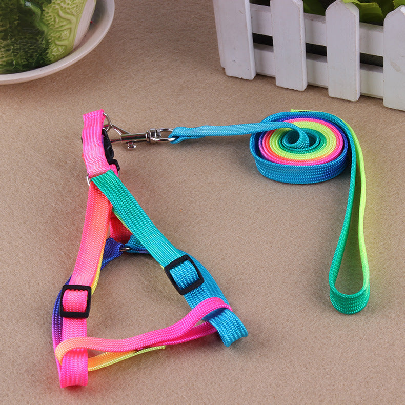 Leashes Colorful Leashes