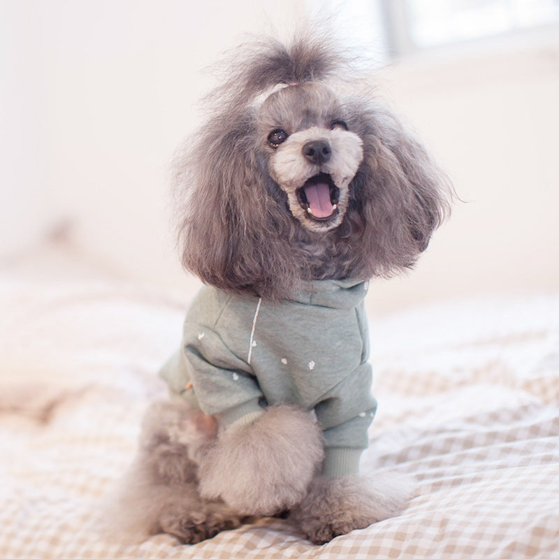 Pet Clothing