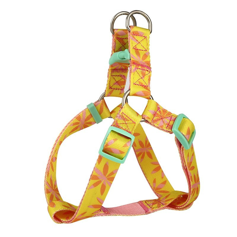 Pet Harness & Leash Set