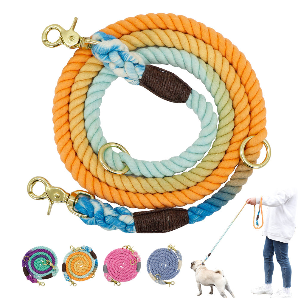 Gradient Dog Collar & Leash
