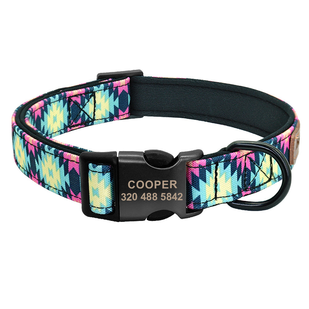 Engraved No-Tag Dog Collar