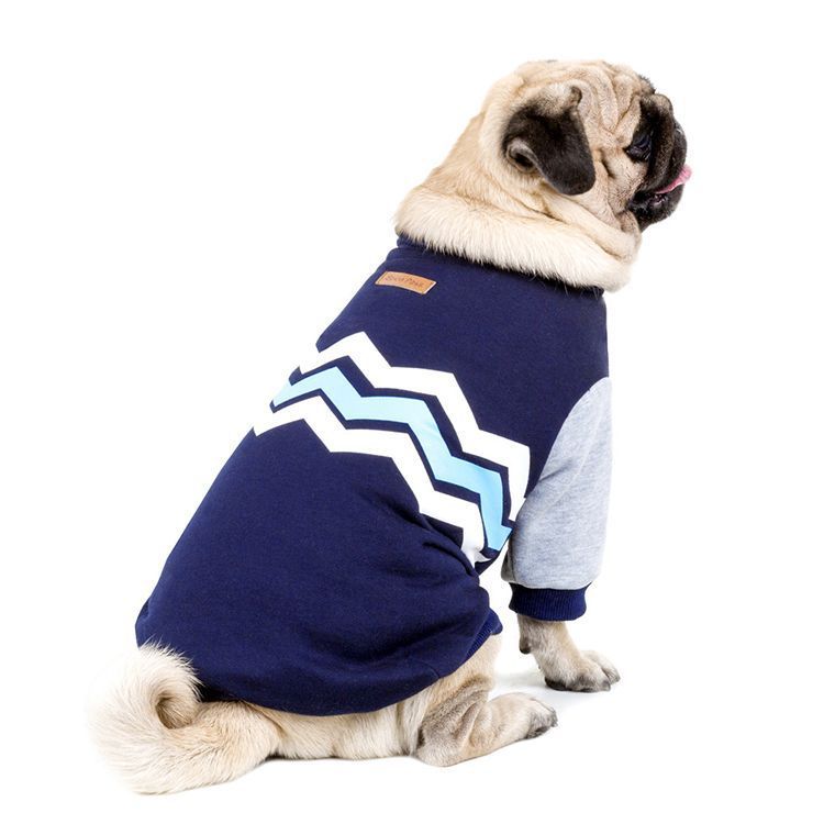 Pet Leisure Sweater
